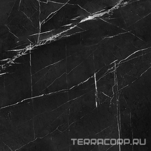 Керамогранит Гранитея Neiva/Нейва Neiva Black/Нейва G395 черный мат.60x60 Черный 