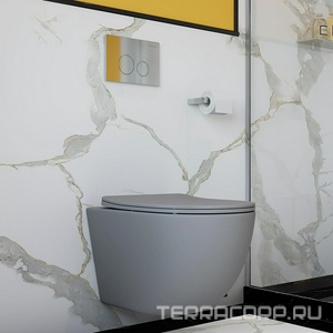 Клавиша двойного смыва для инстал., д/унитаза, (пластик цв.хром),  Aqueduto Circulo CIR0100