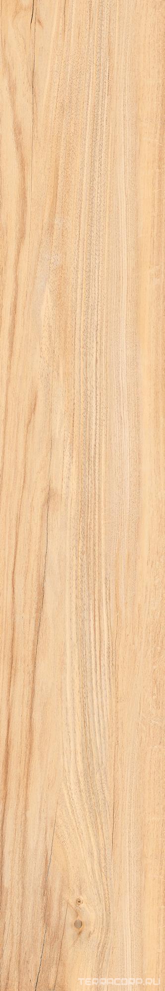 Керамогранит Kerranova Alleya 2101 Медовый Структурированный 20x120 Бежевый, фото 5