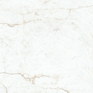 Керамогранит Pamesa Crystal White  leviglass 120x120 Rec. Белый 