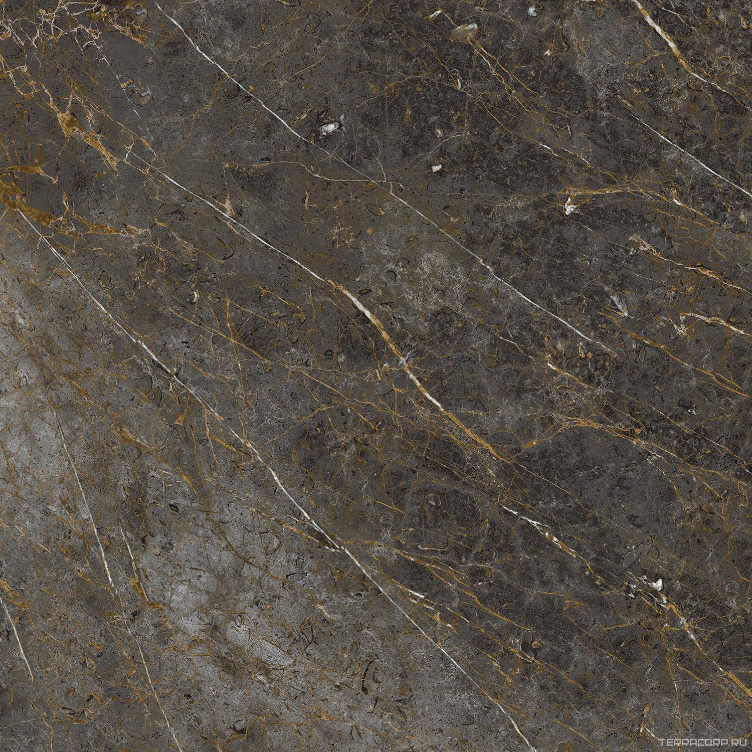 Керамогранит La Faenza Aesthetica AE GOL6 120 LP ( п.п.)120x120 Коричневый, фото 3