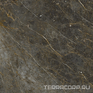 Керамогранит La Faenza Aesthetica AE GOL6 120 LP ( п.п.)120x120 Коричневый 