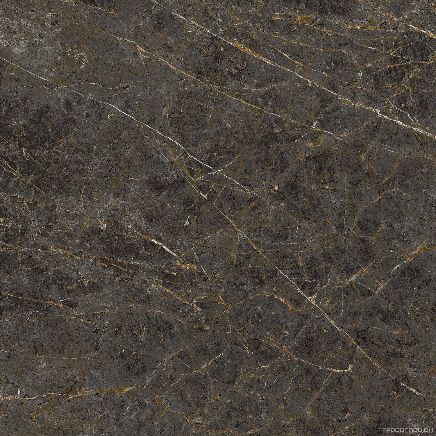 Керамогранит La Faenza Aesthetica AE GOL6 120 LP ( п.п.)120x120 Коричневый, фото 6