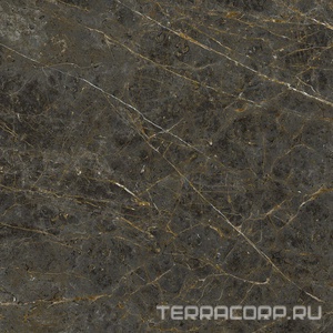 Керамогранит La Faenza Aesthetica AE GOL6 120 LP ( п.п.)120x120 Коричневый 