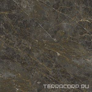 Керамогранит La Faenza Aesthetica AE GOL6 120 LP ( п.п.)120x120 Коричневый 