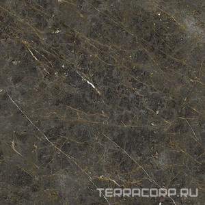 Керамогранит La Faenza Aesthetica AE GOL6 120 LP ( п.п.)120x120 Коричневый 