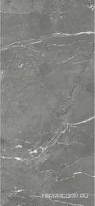 Керамогранит Imola The Rock NEGRES6 260 RM 120x260 XX Серый 