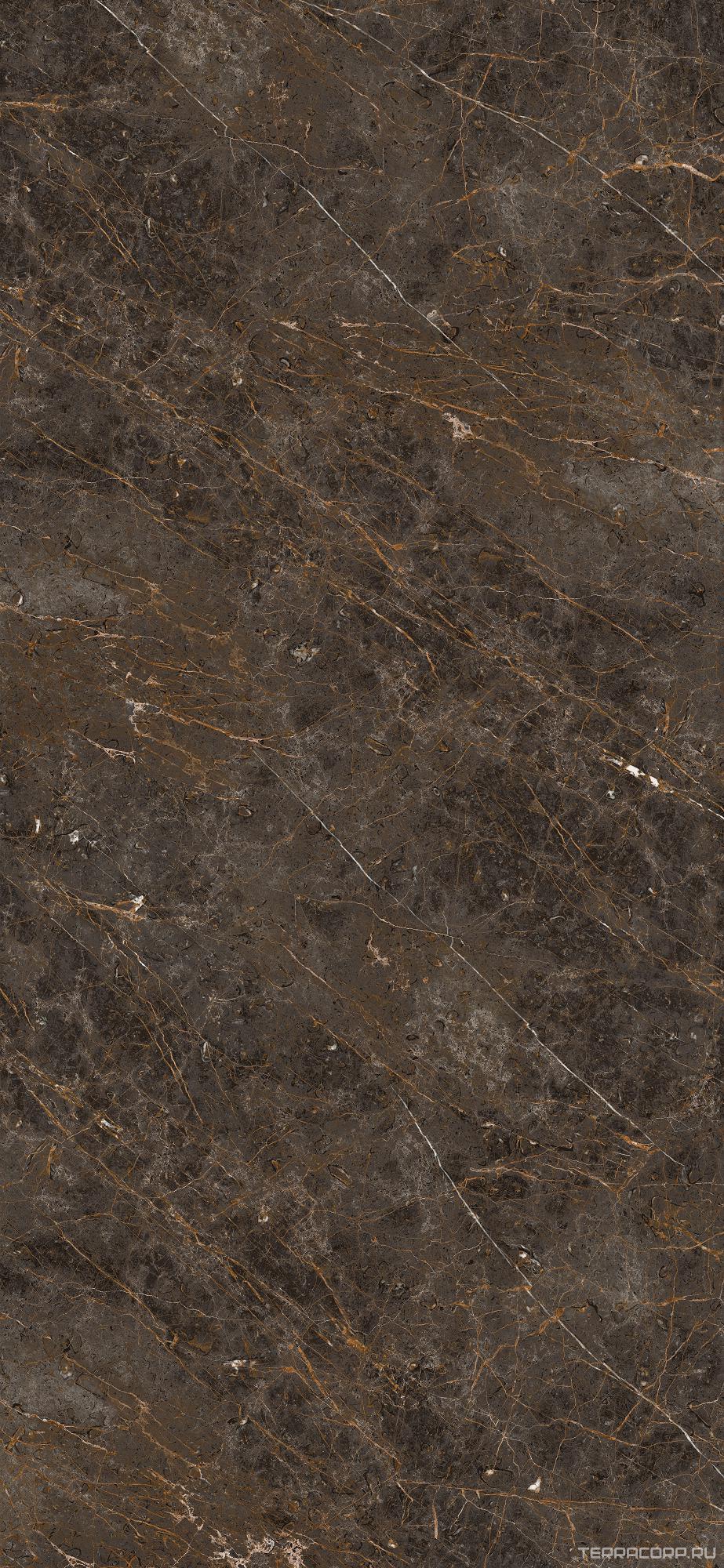 Керамогранит La Faenza Aesthetica AE GOL6 260 LP 120x260 Коричневый, фото 4
