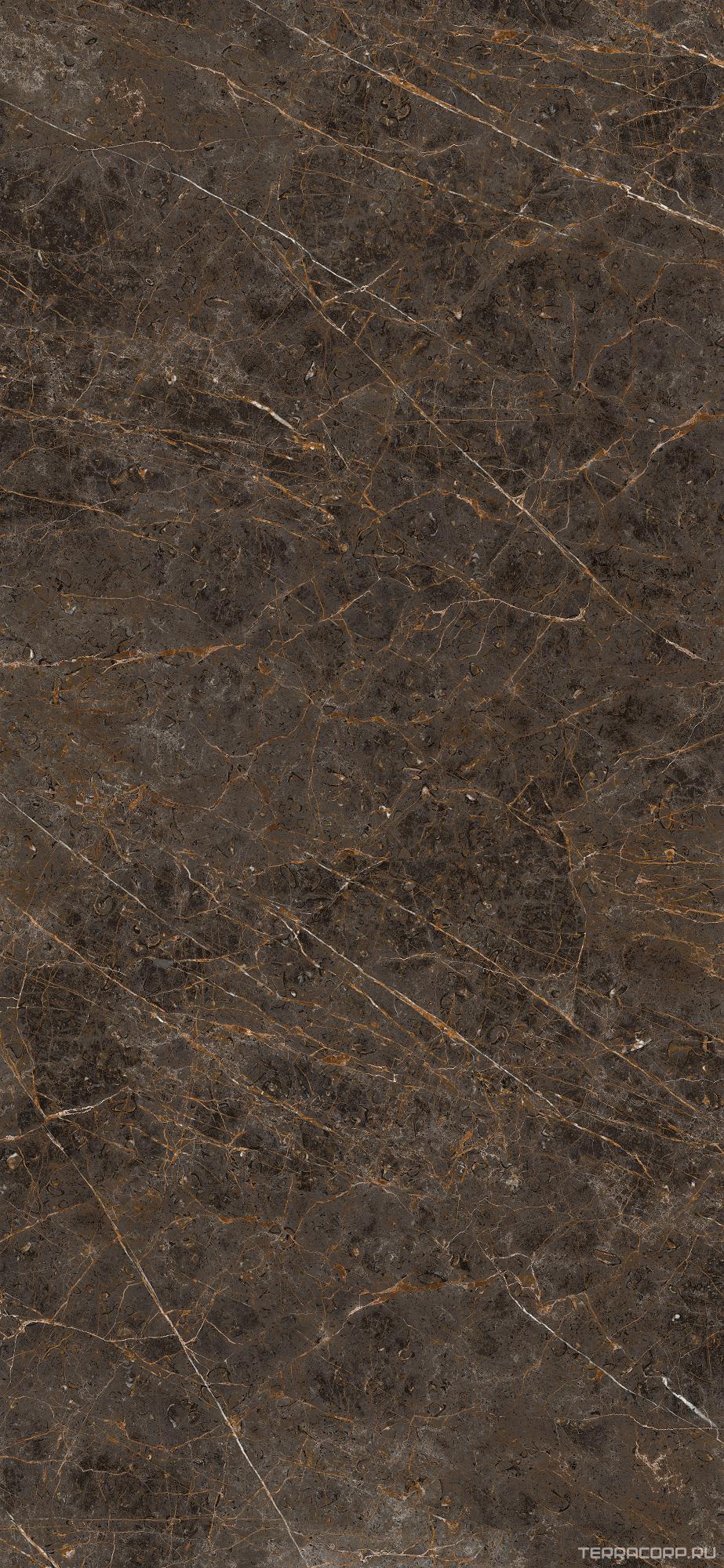 Керамогранит La Faenza Aesthetica AE GOL6 260 LP 120x260 Коричневый, фото 6