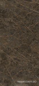 Керамогранит La Faenza Aesthetica AE GOL6 260 LP  120x260 Коричневый 