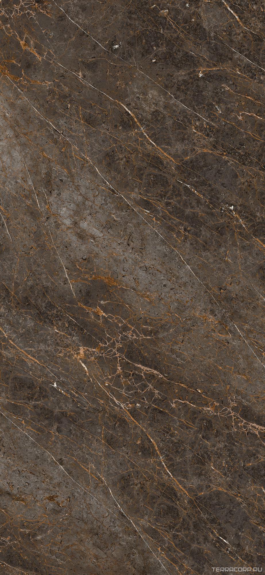 Керамогранит La Faenza Aesthetica AE GOL6 260 LP 120x260 Коричневый, фото 3