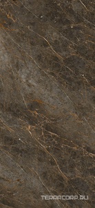 Керамогранит La Faenza Aesthetica AE GOL6 260 LP  120x260 Коричневый 