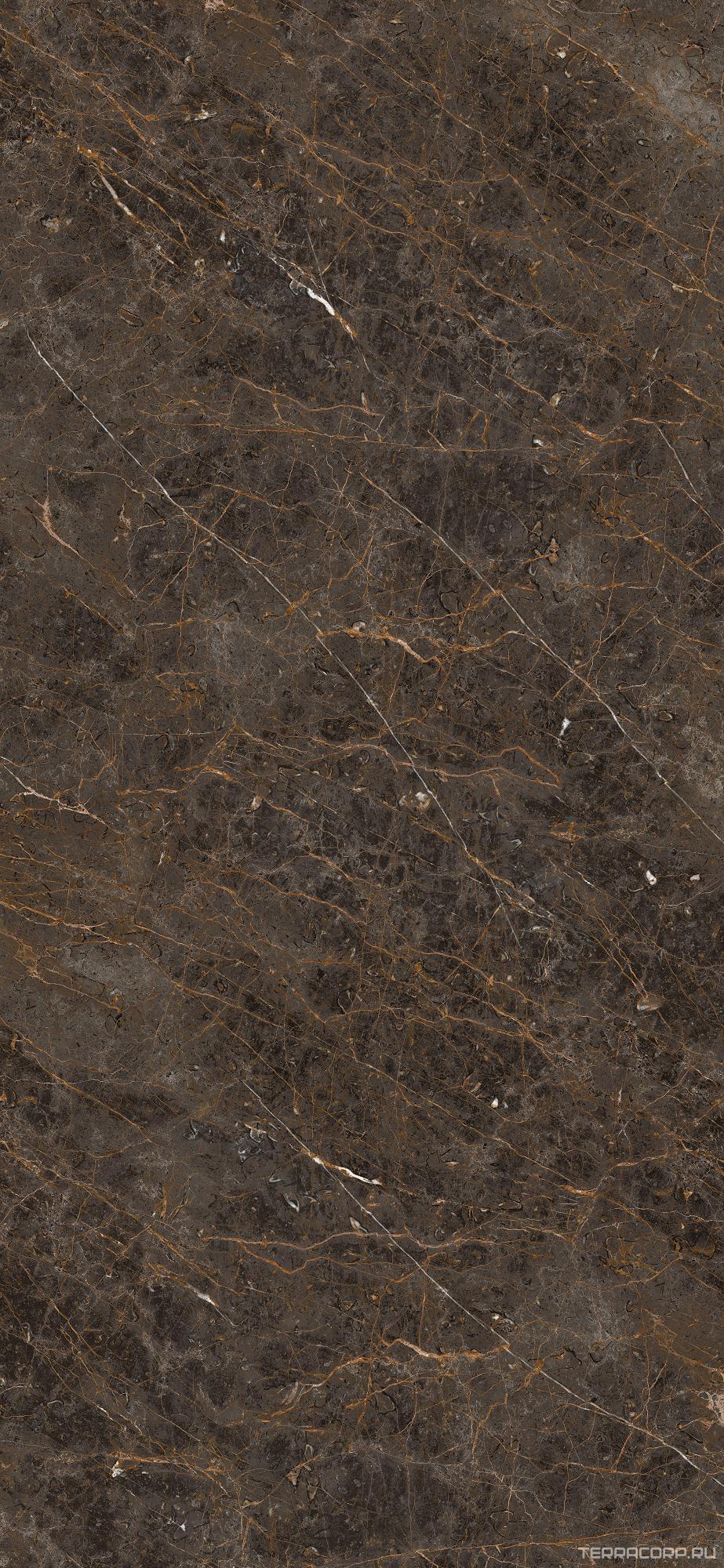 Керамогранит La Faenza Aesthetica AE GOL6 260 LP 120x260 Коричневый, фото 5