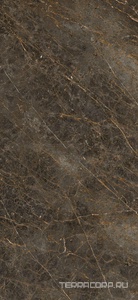 Керамогранит La Faenza Aesthetica AE GOL6 260 LP  120x260 Коричневый 