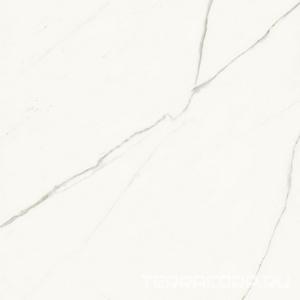 Керамогранит La Faenza Aesthetica AE EXT6 120 RM ( п.п.)120x120 Белый 