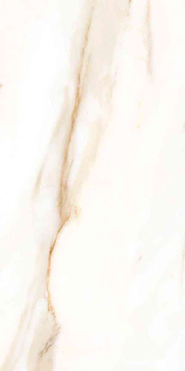 Calacatta royal|31.5x63