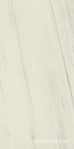 Керамогранит Atlas Concorde Italy Marvel Dream Marvel Bianco Fantastico Lappato  60x120 Белый 