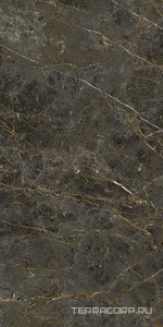 Керамогранит La Faenza Aesthetica AE GOL6 12 RM 60x120 Коричневый 