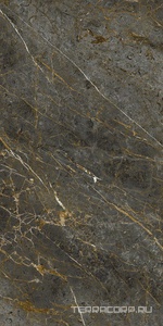 Керамогранит La Faenza Aesthetica AE GOL6 12 RM 60x120 Коричневый 