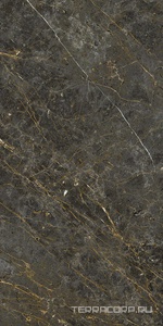 Керамогранит La Faenza Aesthetica AE GOL6 12 RM 60x120 Коричневый 