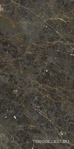 Керамогранит La Faenza Aesthetica AE GOL6 12 RM 60x120 Коричневый 