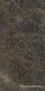 Керамогранит La Faenza Aesthetica AE GOL6 12 RM 60x120 Коричневый 