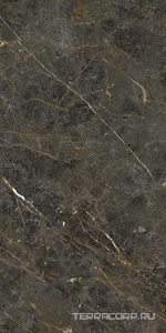 Керамогранит La Faenza Aesthetica AE GOL6 12 RM 60x120 Коричневый 