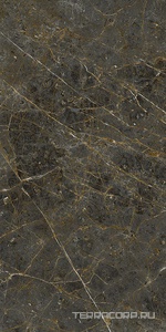 Керамогранит La Faenza Aesthetica AE GOL6 12 RM 60x120 Коричневый 