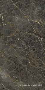 Керамогранит La Faenza Aesthetica AE GOL6 12 RM 60x120 Коричневый 