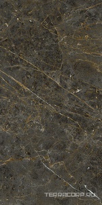 Керамогранит La Faenza Aesthetica AE GOL6 12 RM 60x120 Коричневый 
