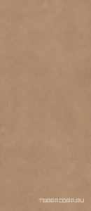 Керамогранит Atlas Concorde Italy Boost Natural  Coral KL 120x278 Коричневый 