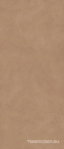 Керамогранит Atlas Concorde Italy Boost Natural  Coral KL 120x278 Коричневый 