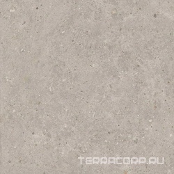 Риккарди серый светлый матовый обрезной 60x60
