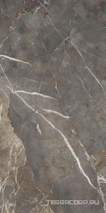 Керамогранит La Faenza Aesthetica AE COL6 278 LPM 120x278 Серебряный 