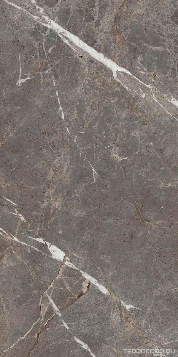 Керамогранит La Faenza Aesthetica AE COL6 278 LPM 120x278 Серебряный, фото 4