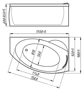 Ванна из искусственного камня "",  170х103 см, левая ZZ Фэма Аделина Аделина/170