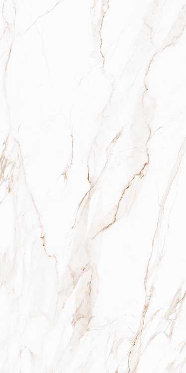 Керамогранит Golden white PG 01 60х120