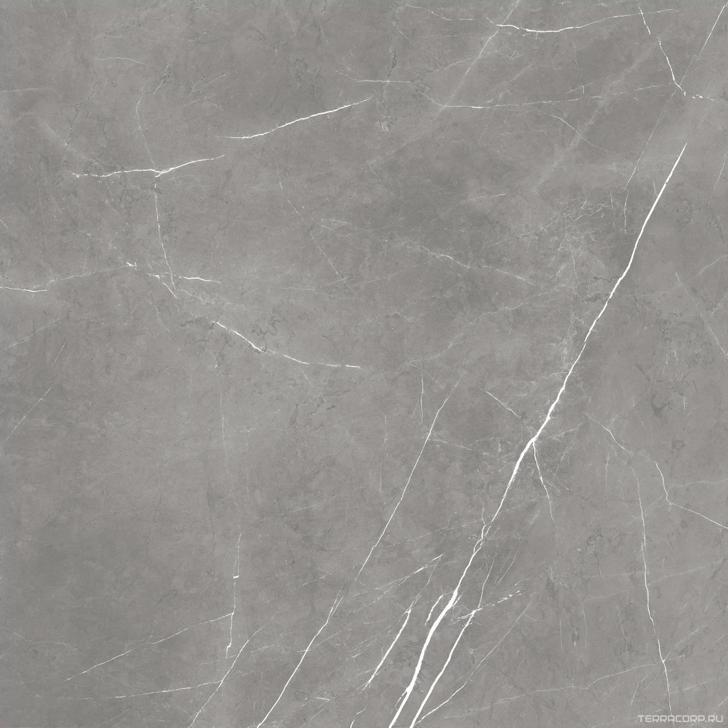 Керамогранит AtlasConcorde Россия FORTE DEI MARMI F.d.M. Elegant G. 80x80 Lapp/Ф.Д.М. Элегант Г. 80Х80 Лап Серый, фото 5