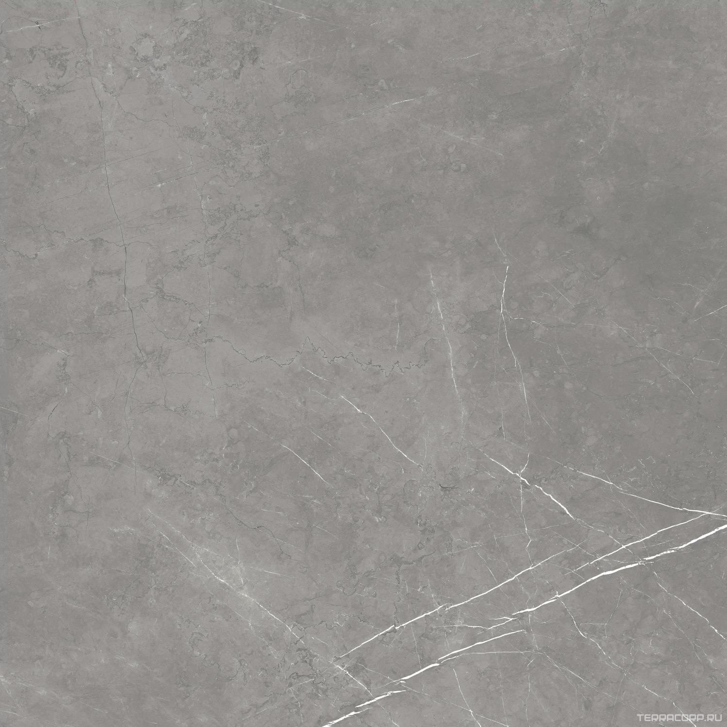 Керамогранит AtlasConcorde Россия FORTE DEI MARMI F.d.M. Elegant G. 80x80 Lapp/Ф.Д.М. Элегант Г. 80Х80 Лап Серый, фото 7