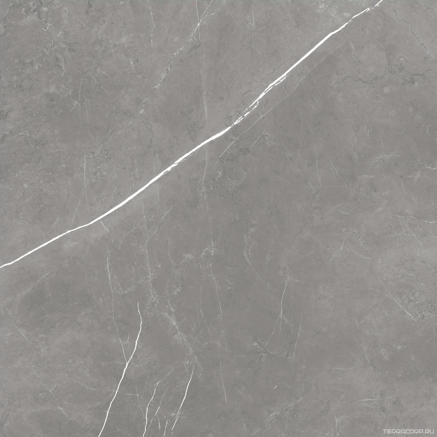 Керамогранит AtlasConcorde Россия FORTE DEI MARMI F.d.M. Elegant G. 80x80 Lapp/Ф.Д.М. Элегант Г. 80Х80 Лап Серый, фото 4