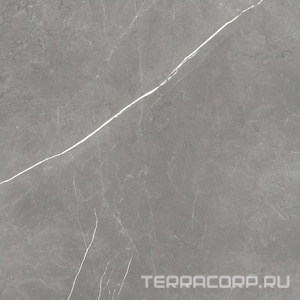 Керамогранит AtlasConcorde Россия FORTE DEI MARMI F.d.M. Elegant G. 80x80 Lapp/Ф.Д.М. Элегант Г. 80Х80 Лап Серый 