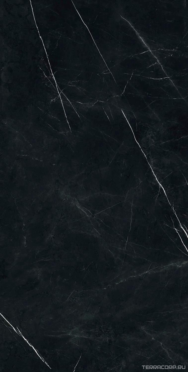 Керамогранит AtlasConcorde Россия FORTE DEI MARMI F.d.M. Elegant B. Rett 60x120 Cer/Ф.Д.М. Элегант Б. Рет 60Х120 Чер Черный, фото 7