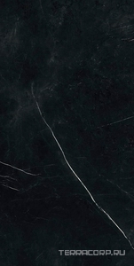 Керамогранит AtlasConcorde Россия FORTE DEI MARMI F.d.M. Elegant B. Rett 60x120 Cer/Ф.Д.М. Элегант Б. Рет 60Х120 Чер Черный 