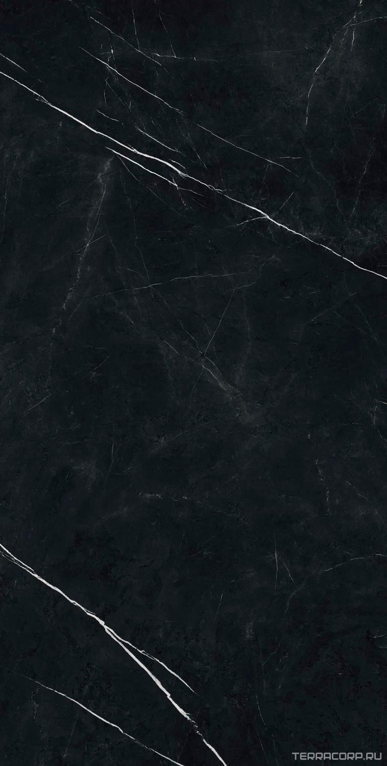 Керамогранит AtlasConcorde Россия FORTE DEI MARMI F.d.M. Elegant B. Rett 60x120 Cer/Ф.Д.М. Элегант Б. Рет 60Х120 Чер Черный, фото 4