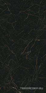 Керамогранит AtlasConcorde Россия FORTE DEI MARMI F.d.M. Ombra di Carav. Rett 60x120 Cer/Ф.Д.М. Омбра Ди Карав. Рет 60Х120 Чер Черный 