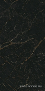Керамогранит AtlasConcorde Россия FORTE DEI MARMI F.d.M. Ombra di Carav. Rett 60x120 Cer/Ф.Д.М. Омбра Ди Карав. Рет 60Х120 Чер Черный 