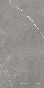 Керамогранит AtlasConcorde Россия FORTE DEI MARMI F.d.M. Elegant G. 80x160 Lapp/Ф.Д.М. Элегант Г. 80Х160 Лап Серый 