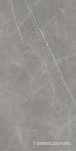 Керамогранит AtlasConcorde Россия FORTE DEI MARMI F.d.M. Elegant G. 80x160 Lapp/Ф.Д.М. Элегант Г. 80Х160 Лап Серый 