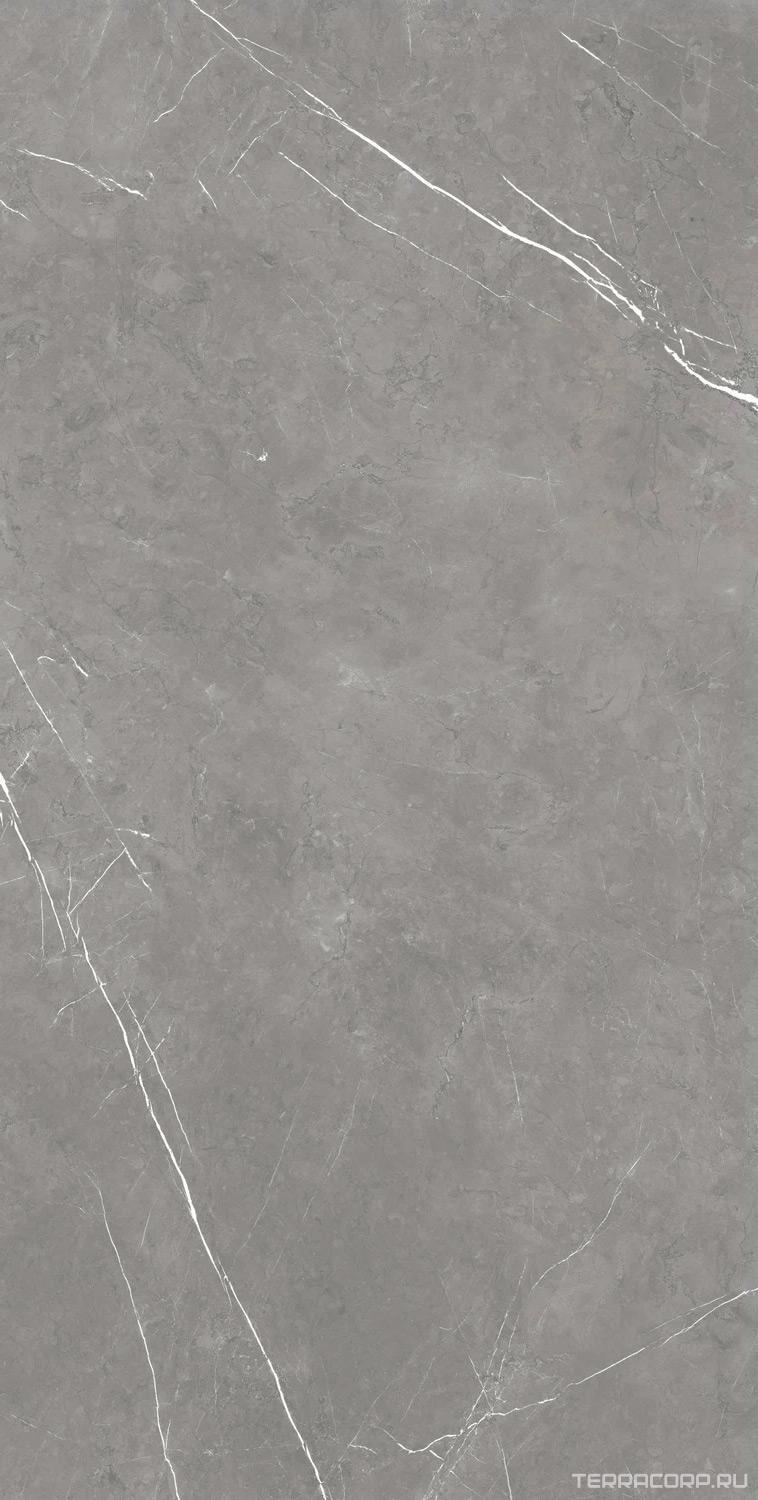 Керамогранит AtlasConcorde Россия FORTE DEI MARMI F.d.M. Elegant G. 80x160 Lapp/Ф.Д.М. Элегант Г. 80Х160 Лап Серый, фото 6