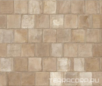 Керамогранит Imola Trail18 TCOT EMI18 20 20x20 Розовый 